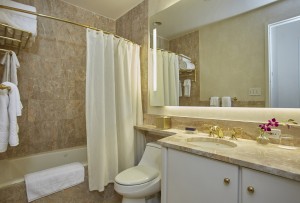 Fractional-new-york-bathroom